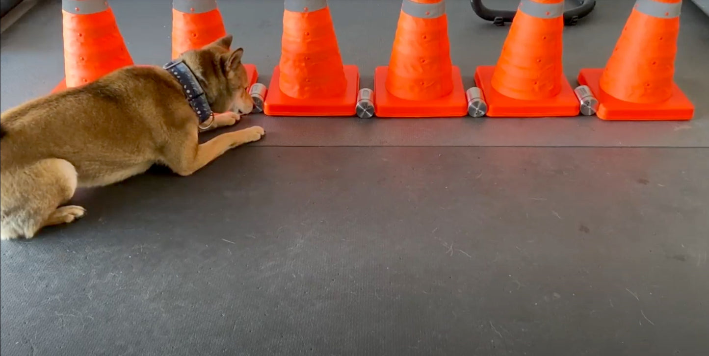 Nosework Virtual Class 2025 - EARLY BIRD ($350), After April 7th ($400)