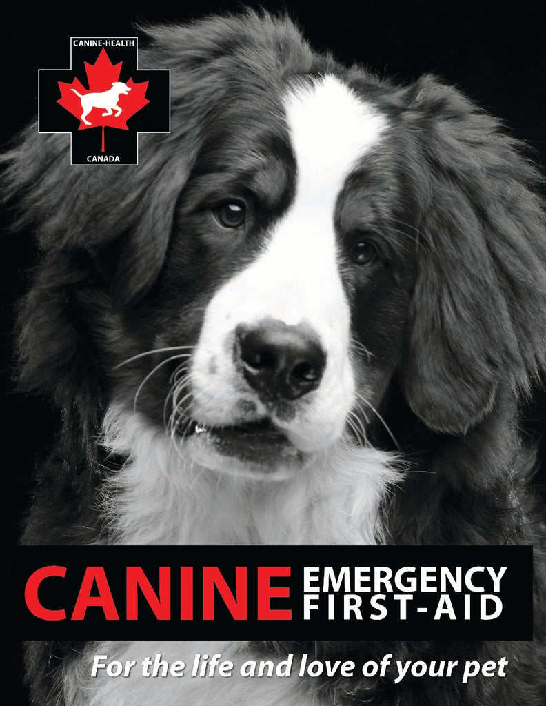 Canine Health Canada Emergency First Aid & CPR Training (In person)