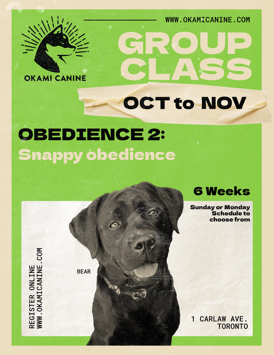 Obedience 2: Snappy obedience (Open for