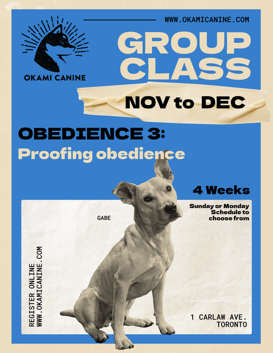 Obedience 3: Proofing obedience