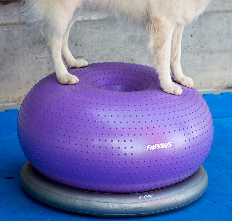 FitPAWS® Circular Product Holder